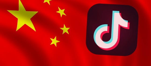Tiktok assume que dados de usuários tem acesso na China