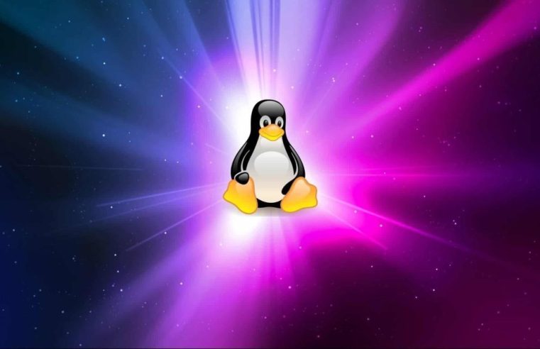 Linus Torvalds lança Linux 6.6